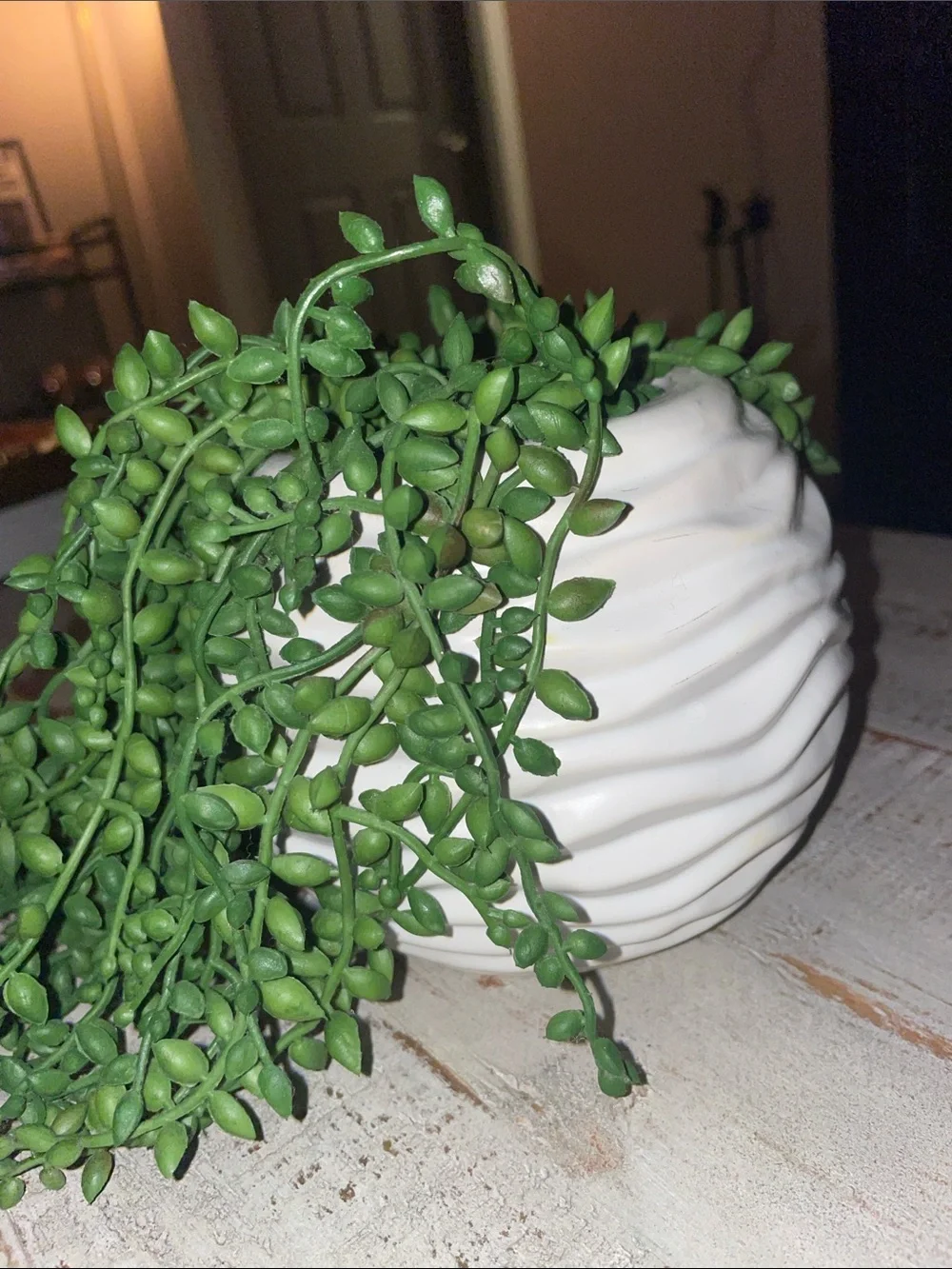 Artificial Trailing String of Pearls Plant - Green